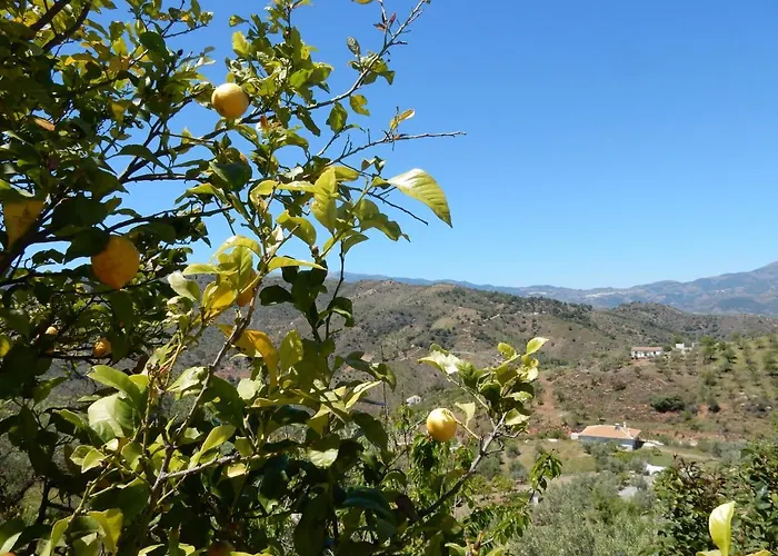 Casa Del Limonero Appartamento